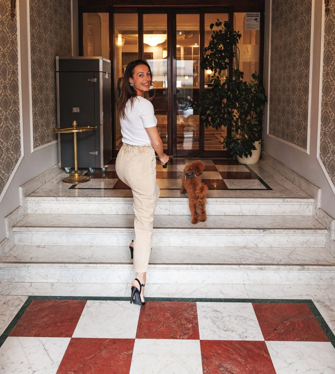 Pawsome offer - Hotel Agava