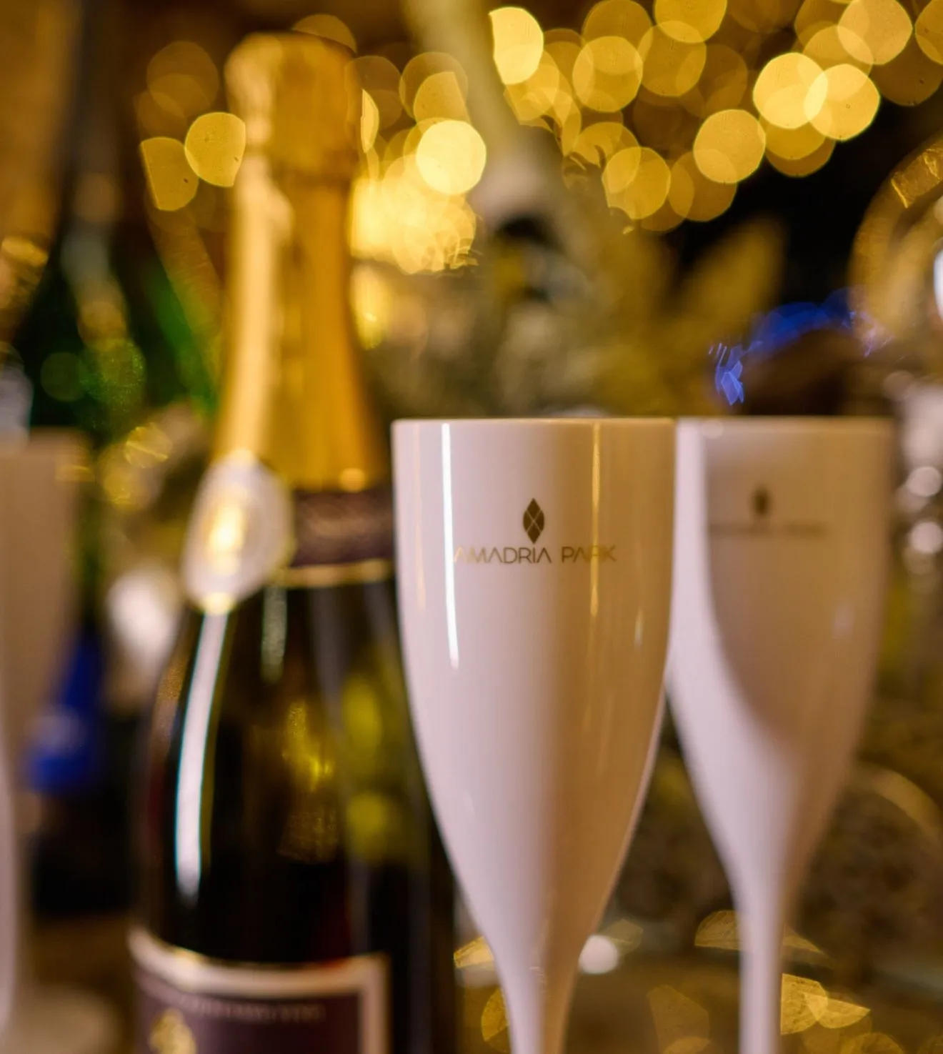 New Year at Hotel Milenij